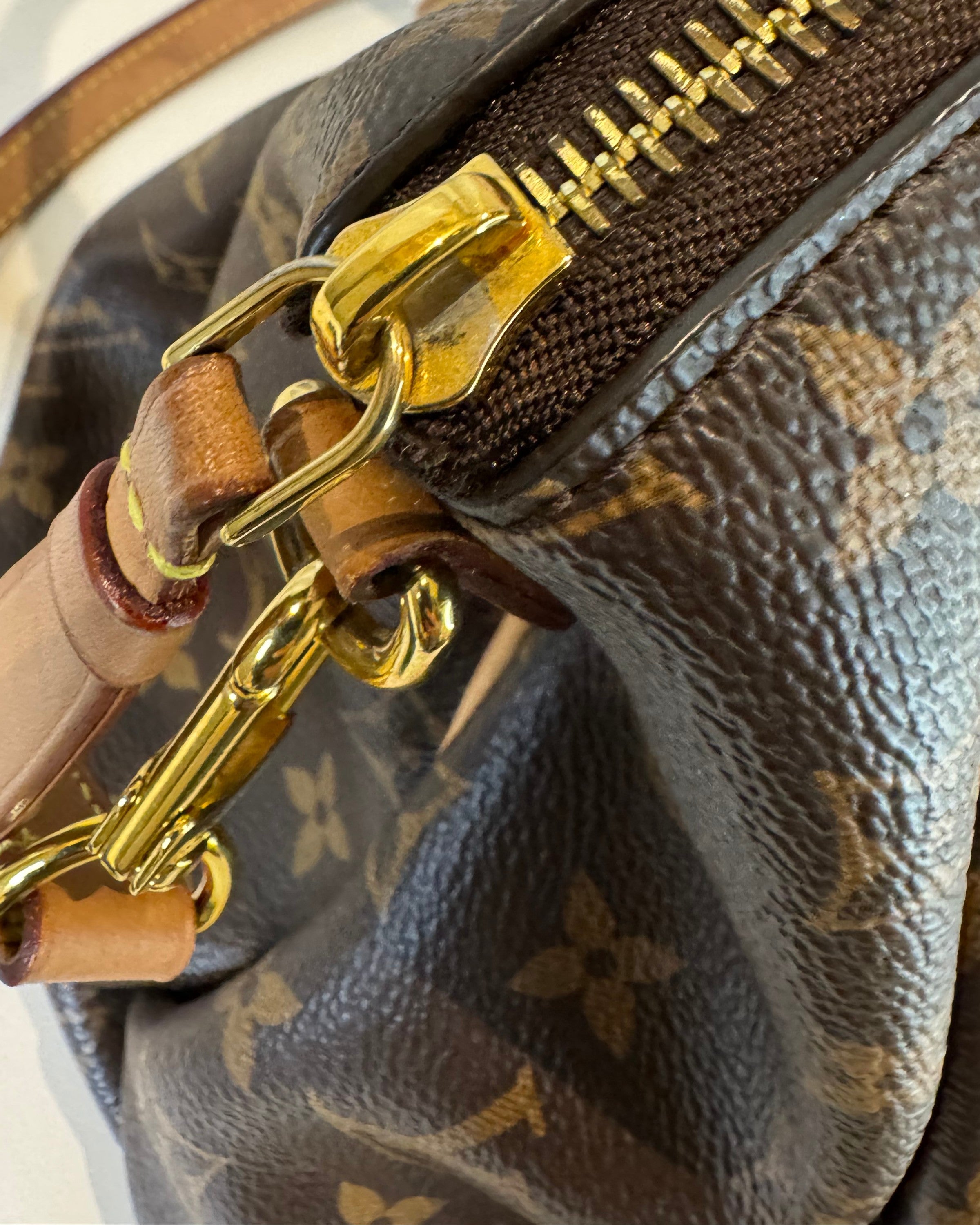 Louis Vuitton tas gouden hardware details