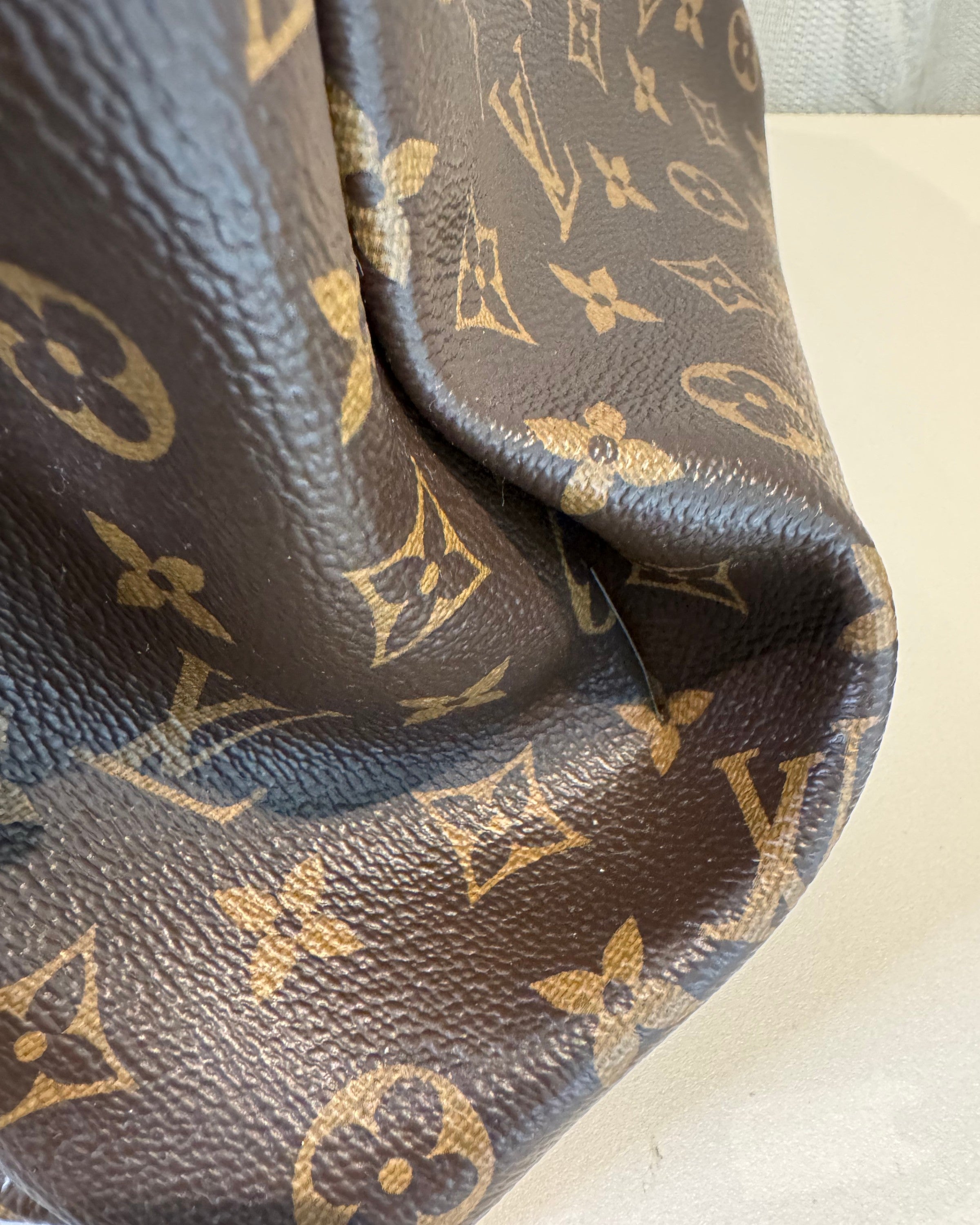 Louis Vuitton canvas tas details print